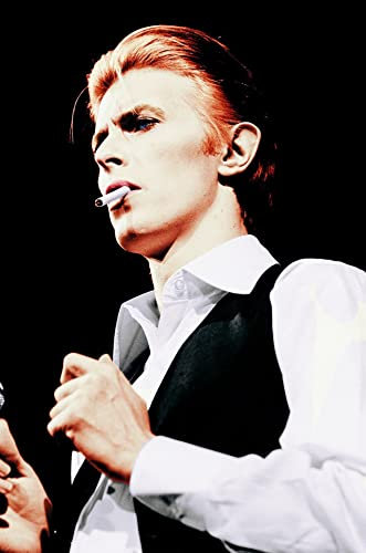 LBMED Leinwand Bilder Kunst Rapper David Bowie für modernes Familiendekor Malerei Poster Druckt Gedruckte 15.7x23.6(40x60cm) Kein Rahmen