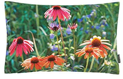 Proflax Kissenhülle Petty, Fotodigitaldruck Echinacea in Pink/Orange, Größe 30 x 50 cm