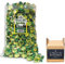 Wal ker's NONSUCH TOFFEE Walker's Nonsuch Banana Split Eclairs 1Kg