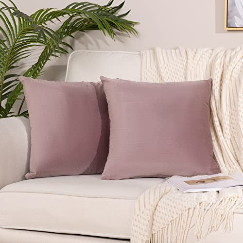 Stellhome Confezione da 2 federe rettangolari in velluto, super morbide, per letto, divano, panca, 40 x 40 cm, rosa antico