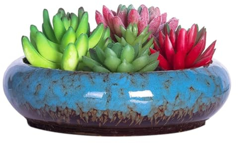 Sukkulenter Pflanzentopf, großer Bonsai -Topf mit Entwässerungsloch, Keramik -Sukkulenten -Topf mit Tablett, flache kaktusblütige Pflanzentöpfe, glasierte Pflanzerbehälterschale für den Innenbereich