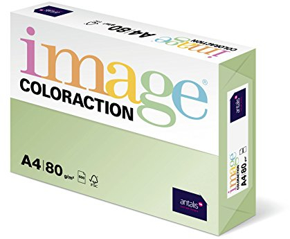 Image Coloraction Jungle - farbiges Kopierpapier - DIN A4, 210 x 297 mm, 80 g/m² - buntes, holzfreies Druckerpapier für Kopierer - 500 Blatt - Hellgrün