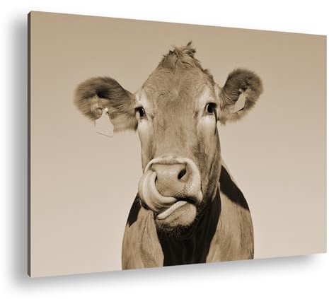 deyoli lustige Kuh Format: 120x80 Effekt: Sepia als Leinwand, Motiv fertig gerahmt auf Echtholzrahmen, Hochwertiger Digitaldruck mit Rahmen, Kein Poster oder Plakat