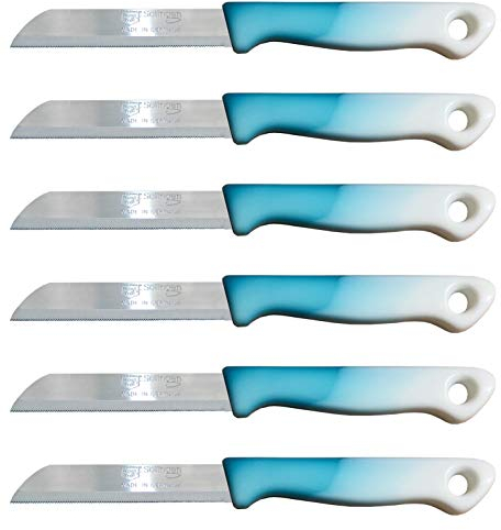 Solingen 6x Obstmesser mit Wellenschliff (türkis), geeignet als Obstmesser, Schälmesser, Gemüsemesser & Frühstücksmesser