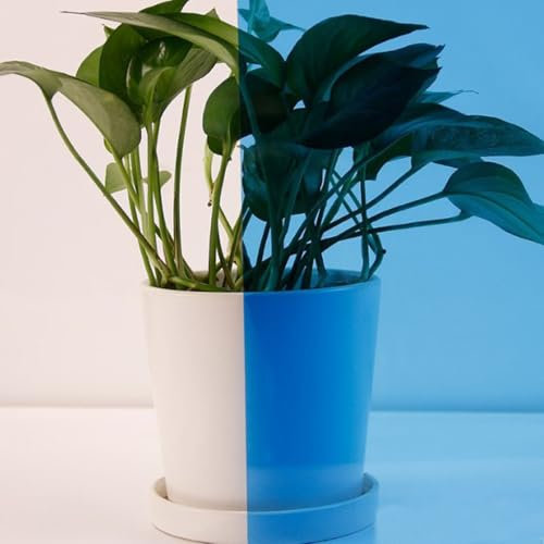ACESOME Tinted Window Film, Coloured Window Film, Transparent Self-Adhesive Film, Glass Tinting Film, Coloured Glass Self-Adhesive PET for Windows, Doors, Room Divider, Mirror (Light blue, 40* 100cm)