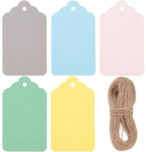 SOFPLATE 1 Box 200 Stück 5 Farben Blanke Papieranhänger Geschenkanhänger Aus Papier Mit Schnur Grün Rot Blau Silber Rosa Preisanhänger Zum Aufhängen Doppelseitig Erhältlich Geschenketiketten Für Heimw