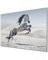Banjado Glas Magnettafel 60x40cm - Magnetwand und Memoboard für Küche, Büro, Kinderzimmer - Magnetpinnwand inkl. 4 Magnete & Montageset - Wildes Pferd