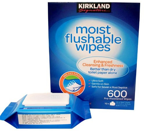 Moist Flushable Wipes, 600 Wipes