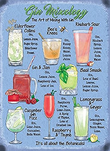 New 15x20cm Gin Mixology Cocktail recipe metal advertising wall sign