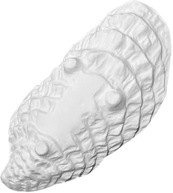 MAGICLULU Elegante Juego de Vajilla Plato Creativo de Cerámica para Ostras Plato de Porcelana para El Hogar Plato para Servir Versátil Fácil de Limpiar