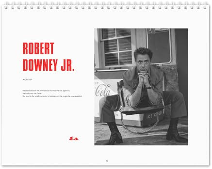 Robert Downey Jr. Vol.2-2026 Wall Calendar