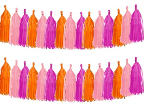 30 Stück Papier Quasten Girlande Bunt Papier Quasten Banner Tassel Girlande Fransen Girlande für Geburtstag Hochzeit Party Dekoration