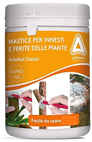 Kollant Mastic pour embouts et blessures des plantes Arbokol classic boîte