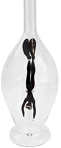 Verre ventru de carafe de bouche soufflé, décanter, bouteille de clairement le verre, avec un plongeur apnoe coloré dans l'intérieur, à versent, hauteur environ 30 cm, capacité 0,5 litre, ébauchée et de manière produite de la Oberstdorfer Glashütte