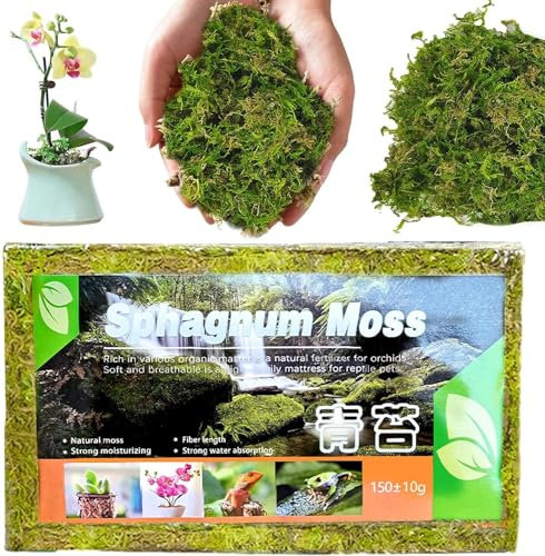 Youning Natürliches Sphagnum Moos Torfmoos für Garten Zimmerpflanzen Terrarien Blumenerde Wassermoos Trockenmoos Wasser Gras Substrat Spaghnummoss Kultursubstrat für Pflanzen Orchideen (3 Beutel)