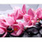 murando - Fototapete Premium-Vlies Orchidee Zen 100x77cm Foto Tapete Schlafzimmer Wohnzimmer Vliestapete XXL Motivtapeten Bildtapete 3d Effekt Wand Dekoration Wellness Spa Blumen Steine rosa schwarz