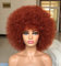 CoCrowns70's Afro-Perücken für Schwarze Frauen (Orange)