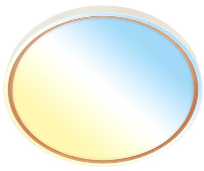 BRILONER - LED Deckenlampe mit Fernbedienung, dimmbar, CCT warmweiß bis kaltweiß, LED Lampe, Deckenleuchte, Wohnzimmerlampe, Küchenlampe, Deckenbeleuchtung, Flurlampe, 49x6,5 cm, Coffee