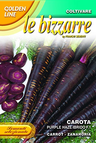 SEMI DI CAROTA viola PURPLE HAZE IBRIDO F1 - FRANCHI SEMENTI -SEMENTI SELEZIONATE GLBZ 23/46 BUSTINA GR 0,3