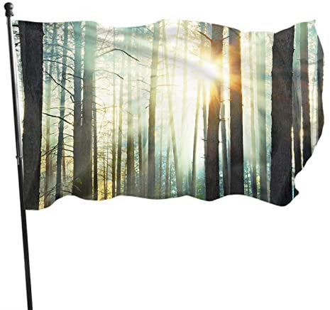 Sunset Woods Flagge, 90 x 150 cm, doppelseitig, Schönheit, Sonnenlicht, Fee, Natur, immergrün, Sommer, Wald, Outdoor, dekoratives Banner, große Willkommensflagge, Zuhause, Garten, Hof, Rasen-Dekor