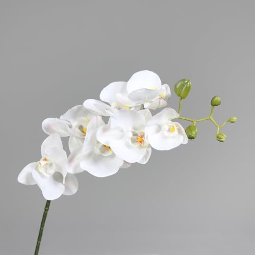 Orchideenzweig Real Touch 70cm Creme-weiß DP Kunstblumen künstliche Orchidee Phalaenopsis Blumen