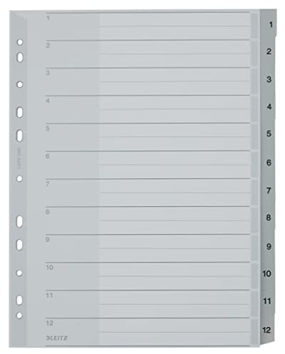 Leitz Plastikregister (1-12, A4, PP, 12 Blatt) grau