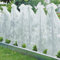 Novatool 3X Frühbeetvlies I 0,8 x 5 m | Tomatenfolien Tomatenhaube Frühbeetvlies | Tomatenabdeckungen Regenschutz
