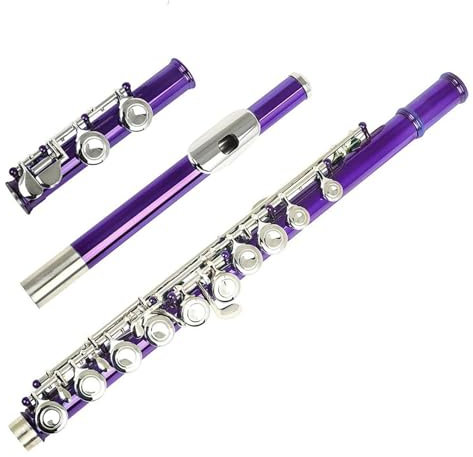 Querflöte Instrument Lila Flöte Mit 16 Löchern, C-Ton, Geschlossenes Loch, Silberne Klappe, Kupfernickel-Flöte Mit Flötenzubehör