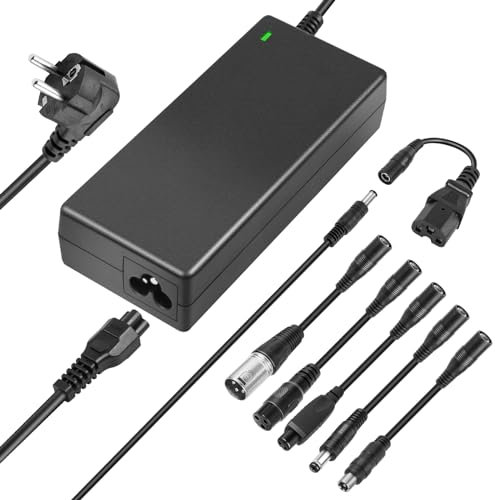 ARyee 42V 2A Hoverboard Ladekabel, 36V Lithium Batterie E Scooter Ladegerät für Elektroroller E-Bike Rollstuhl Motorrad, 6 Steckern
