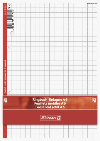 10X BRUNNEN Ringbucheinlage A6 kar 50Bl