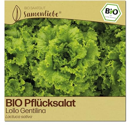 Samenliebe BIO Pflücksalat Samen | Lollo Salat Gentilina - stark gekraust - samenfestes BIO Saatgut