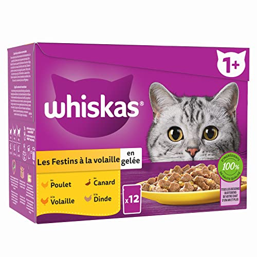 WHISKAS Repas pour Chat, 48 Sachets Fraîcheur (Lot de 4 Packs 12x85g), Festins à la Volaille (4 variétés), Pâtée pour Chat Adulte en Gelée. Nourriture Humide Adaptée aussi aux Chats Stérilisés
