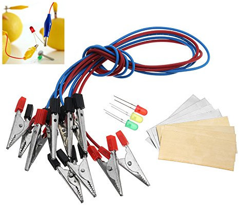 EsportsMJJ Birne Batterie Lichtdioden Kit Orange Kartoffel Zitrone Batterie Physik Lehre Experiment