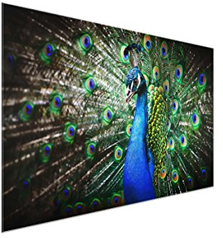 Bilderwelten Glasbild - Edler Pfau - Quer 2:3, Größe: 80cm x 120cm