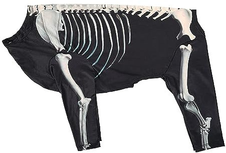Folpus Costume da Scheletro di Cane di Halloween, Costume da Compagnia di Halloween, Accessori Decorativi per Servizi fotografici, Vestito Cosplay per Cani, 3XL