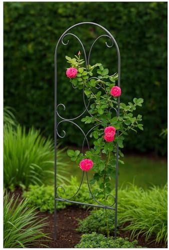 Dekorative Rankhilfe Metall für Kletterpflanzen Rosen und Clematis Rankgitter Kletterhilfe HTI living