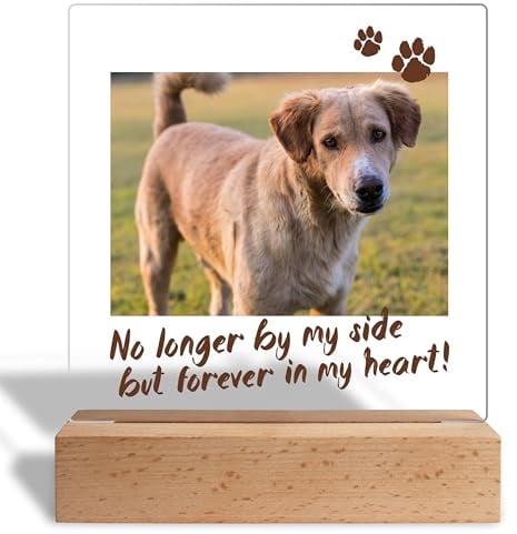 Personalisiertes Foto Geschenk für Hundebesitzer: Acrylaufsteller mit eigenem Bild, Geschenke für Hundeliebhaber Haustiere- Acrylglas inkl. Holzsockel mit LED - 15x18 cm (No longer by my side)