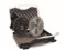 KWIKTOOL-710115-Safe Saw Universal Set 115