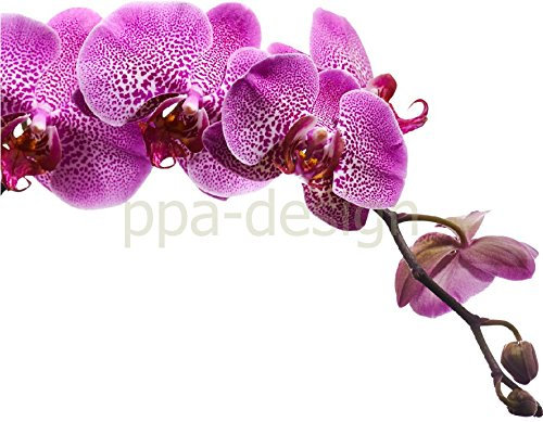 PPA DESIGN Sticker Autocollant Mural Nature Fleur Orchidée - SAD1002 (Largeur 20cm)
