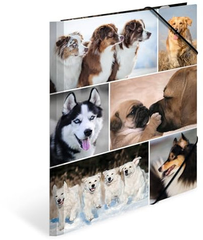 HERMA Sammelmappen A4 Hunde Set, 3 Stück, Kinder Eckspanner-Mappen aus Pappe mit Tier Motiv, Gummizug, Innenklappen und Innendruck für Jungen und Mädchen