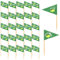 50pcs Golf Themed Toothpick Flags, Hole in ONE Golf Cocktail Picks Double Printed Toothpick Flags for Food Mini Cupcake Toppers Flags for Birthdays Decorations Family Gatherings (Green Background)