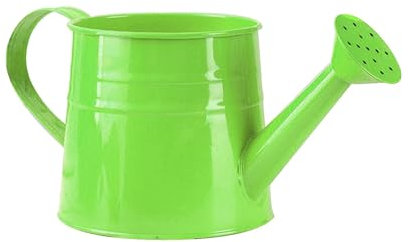 AKTOUR Secchiello per caffè, in latta, piccolo vaso per fiori, bottiglia spray per irrigazione (E, taglia unica)