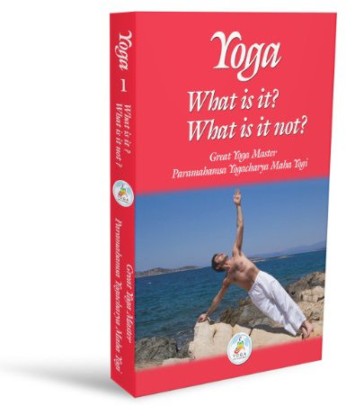 Yoga: What is it? What is it not? (Yoga Series Book 1) (English Edition)