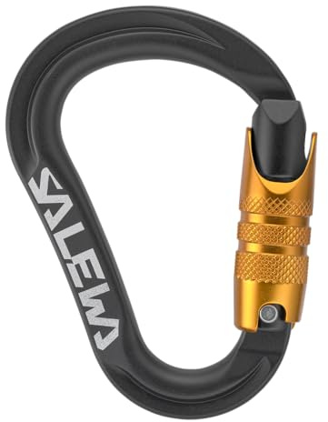 Salewa Ortles HMS C.3 S Karabiner