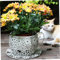 Hemore Teetasse Blumentopf, 7,3 -Zoll -Kaffee -Kaffee -Tasse -Pflanzen -Topf, kreativer Garten dekorativer Pflanzer, Vintage Sukkulente Topf für Gartendekorationen im Freien