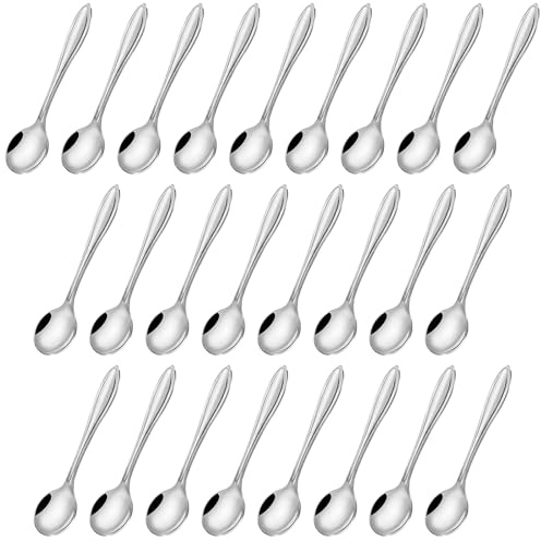 25 Piezas Mini Cucharas de Acero Inoxidable Plateadas, 9,5 cm | Pequeñas de Acero Inoxidable,Cucharitas de Especias para Tarros, Sal, Azúcar y Cocina