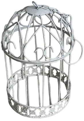 SiaBiced Hängende Outdoor Vase in Form Eines Vogelkäfigs, Aus Eisen, Im Vintage Stil, Zum Aufhängen von Blumen, Platzsparend Und Vielseitig, Ideal für, Mehrfarbig, 13cmx13cmx19cm