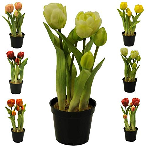 Künstliche & Realistische Tulpe im Topf – Höhe: 26cm - Große Auswahl - Hochwertig & Gefühlsecht - Kunstpflanze (Creme, Offene Blüten)