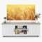 GYMAX Mueble TV de hasta 65 Pulgadas, Mesa Television de Madera con 2 Armarios y Estantes Abiertos, Mueble Bajo TV con Puertas para Salón y Dormitorio, 145 x 40 x 50 cm (Blanco+Gris)