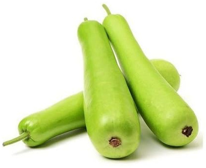 Bottle Gourd Vegetable Seeds 80pcs Green